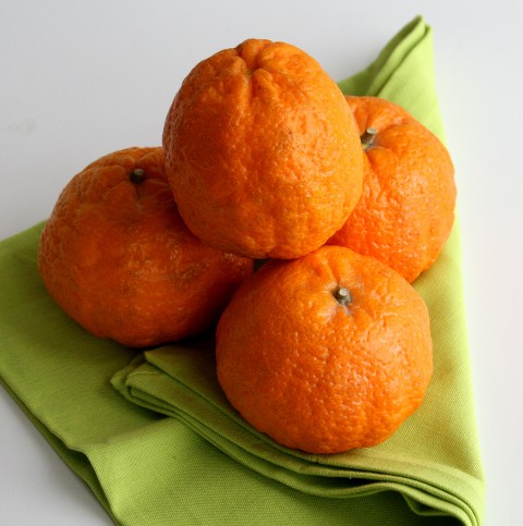 Gold Nugget Tangerines