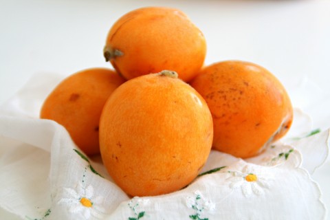 Introducing Loquats