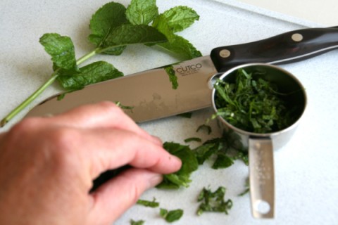 Chopping mint