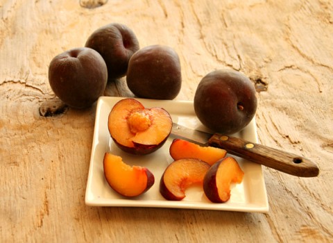 Introducing Black Velvet Apricots