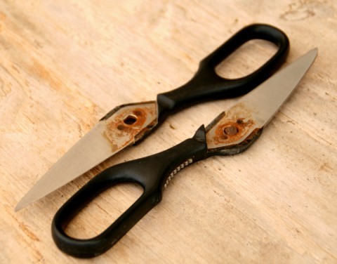 Kitchen shears broken on ShockinglyDelicious.com