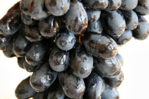 Black Muscato Grapes on ShockinglyDelicious.com