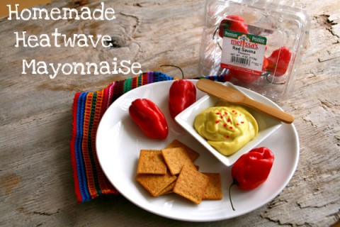 Homemade Heatwave Mayonnaise