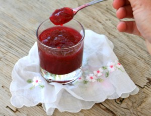 Indian Plum Chutney