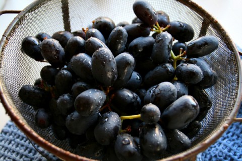 Black Muscato grapes