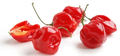 Red Savina peppers from Melissas