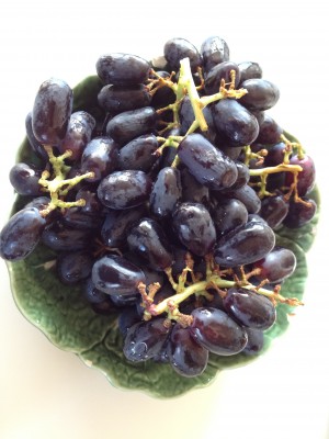 Black Muscato Grapes on ShockinglyDelicious.com