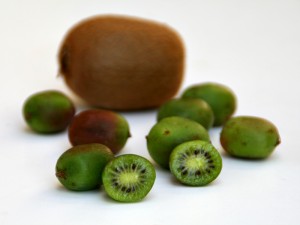 Baby Kiwi from Melissa's on ShockinglyDelicious.com