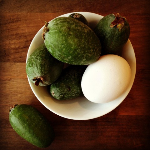 Introducing Feijoas -- Pineapple Guava