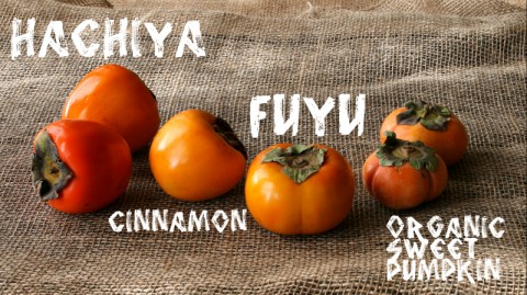 4 Persimmon Varieties: https://www.shockinglydelicious.com/?p=10539