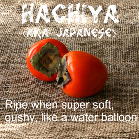 Hachiya Persimmon: https://www.shockinglydelicious.com/?p=10539