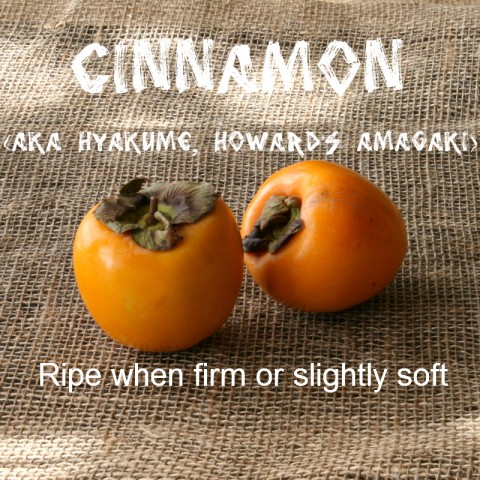 Cinnamon Persimmon: https://www.shockinglydelicious.com/?p=10539