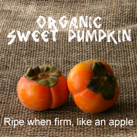 Organic Sweet Pumpkin Persimmon: https://www.shockinglydelicious.com/?p=10539