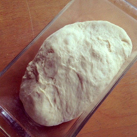 Alabama Light Bread dough in the bread pan for its second rise