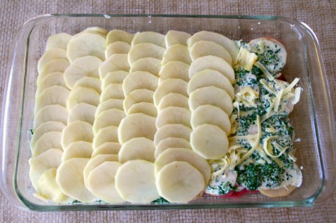 Layering potatoes for Spinach Gruyere Potato Gratin. Recipe here: https://www.shockinglydelicious.com/?p=10960