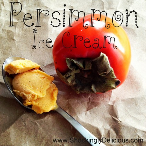 Persimmon Ice Cream on Shockingly Delicious. Recipe here: https://www.shockinglydelicious.com/?p=10857