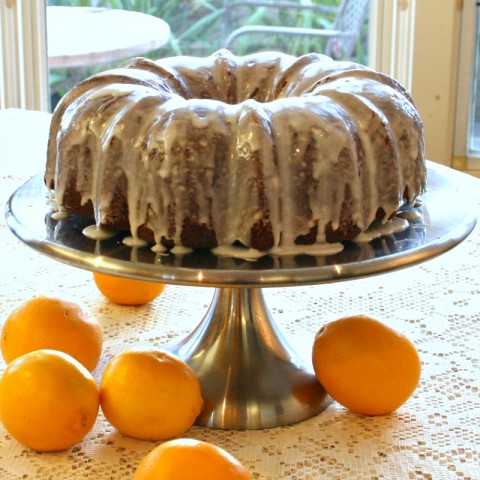 Soaked and Glazed Lemon Cake on Shockingly Delicious.com. Recipe here: https://www.shockinglydelicious.com/?p=11322