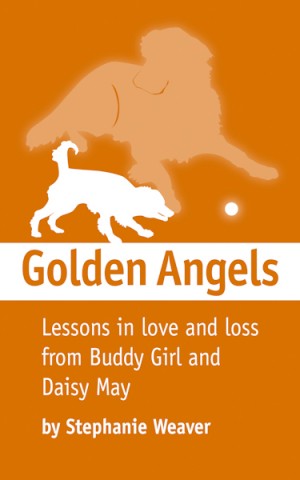 Golden Angels ebook cover