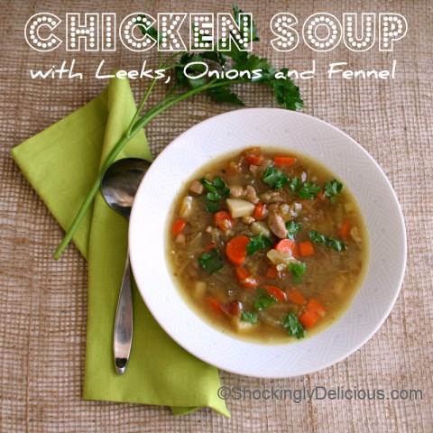 Chicken Soup with Leeks, Onions and Fennel on Shockingly Delicious