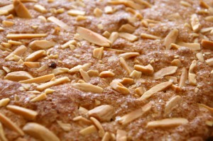 Almond Polenta Cake on Shockingly Delicious