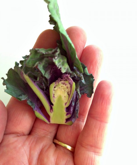 Kale Sprouts on Shockingly Delicious