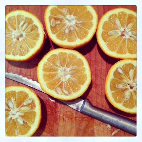 Seville oranges on Shockingly Delicious