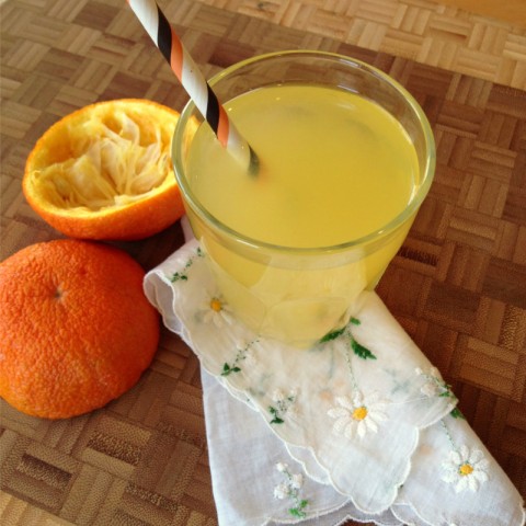 Seville Orangeade on Shockingly Delicious