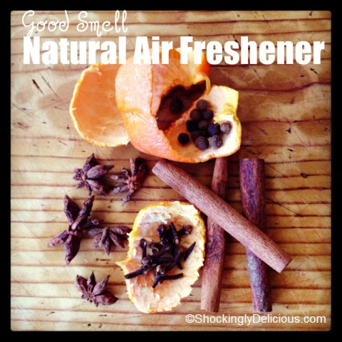 Natural Air Freshener on Shockingly Delicious, Recipe here: https://www.shockinglydelicious.com/?p=11756