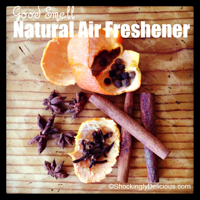 The CrockPot as an Air Freshener/ Odor Neutralizer - A Year of Slow Cooking