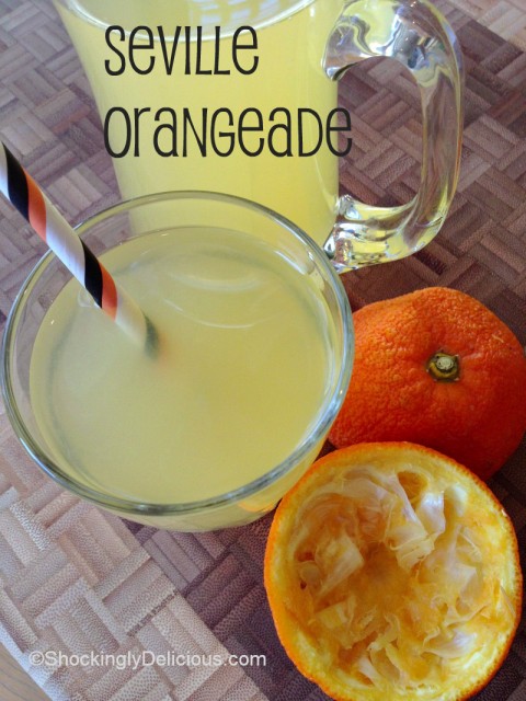 Seville Orangeade on Shockingly Delicious