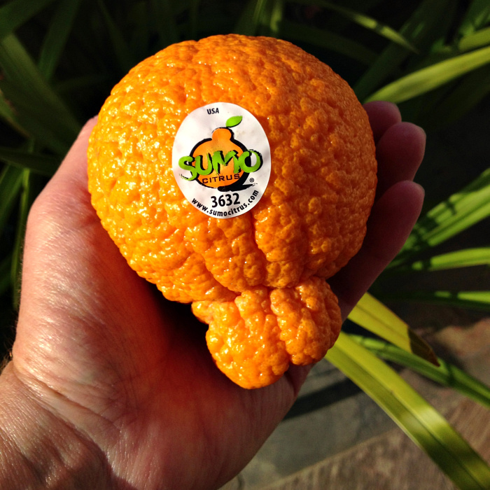 Sumo Citrus — Melissas Produce