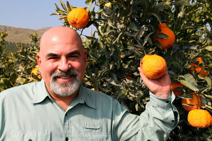 Sumo Citrus — Melissas Produce