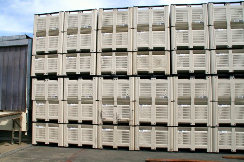 Avocado bins at Mission Packing on Shockingly Delicious