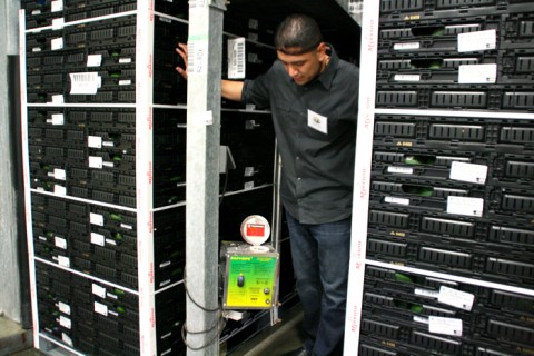 Avocados in ripening room at Mission Produce on Shockingly Delicious