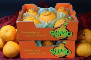 SUMO CITRUS consumer carton