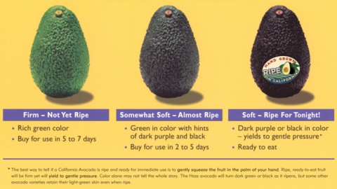 Stages of Ripeness from Calif Avocado Commission on Shockingly Delicious