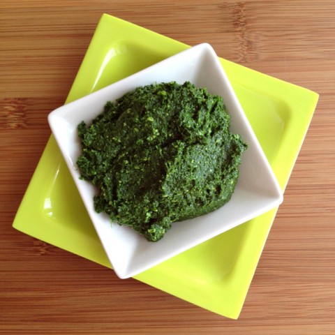 Kale Pesto on Shockingly Delicious