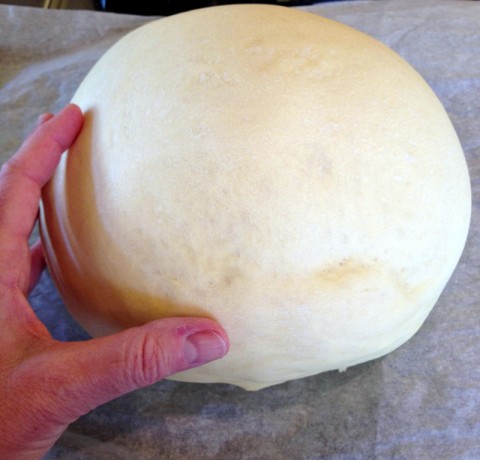 Grammy's Italian Easter Bread after second rise on Shockingly Delicious