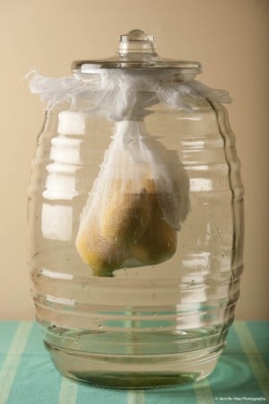 Limoncello Italian Lemon Liqueur on Shockingly Delicious (photo by Jennifer May)