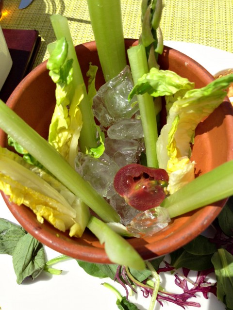 Flowerpot Crudites (Fresh Vegetables) on Shockingly Delicious