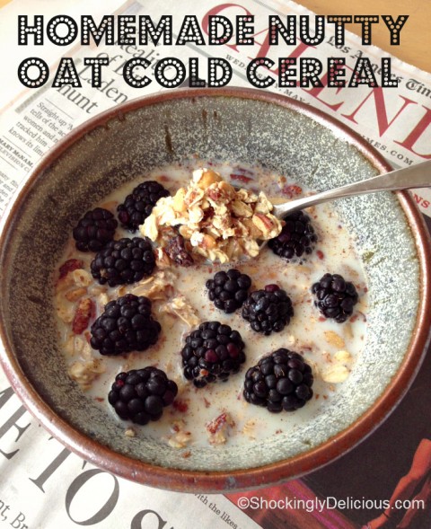 Homemade Nutty Oat Cold Cereal on Shockingly Delicious