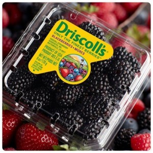 Driscoll's Blackberries on Shockingly Delicious