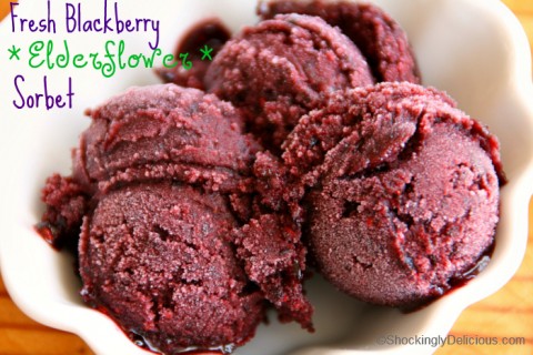 Fresh Blackberry Elderflower Sorbet on Shockingly Delicious