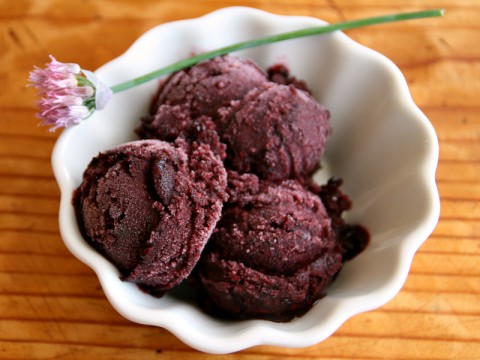 Fresh Blackberry Elderflower Sorbet is crazy deep purple in color, delightfully berrylicious in flavor with a light hint of an indescribable floral background from the St. Germain Liqueur (elderflower liqueur). Mother's Day?  | ShockinglyDelicious.com