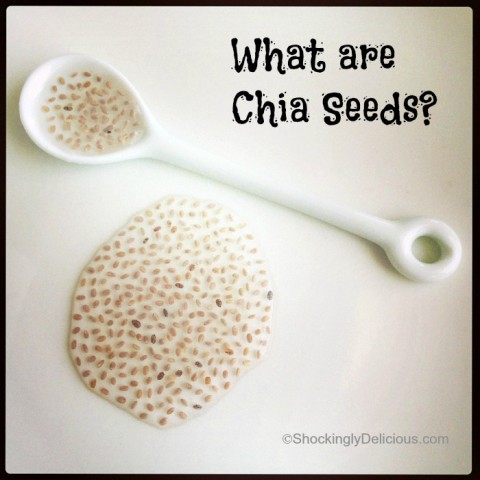 Chia Seeds on Shockingly Delicious