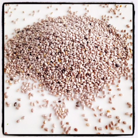Chia seeds on Shockingly Delicious