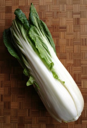 Bok Choy on Shockingly Delicious