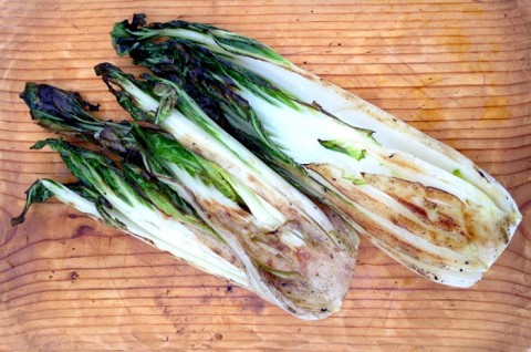 Grilled Bok Choy on Shockingly Delicious