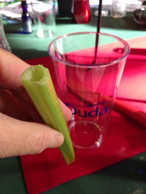 Celery Straws from Dandy Foods on Shockingly Delicious
