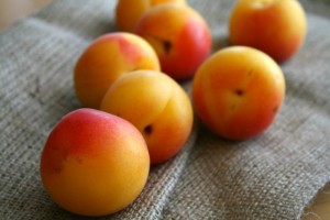 Golden Velvet Apricots on Shockingly Delicious